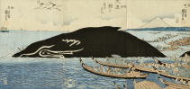 大漁鯨のにぎわひ 　歌川国芳